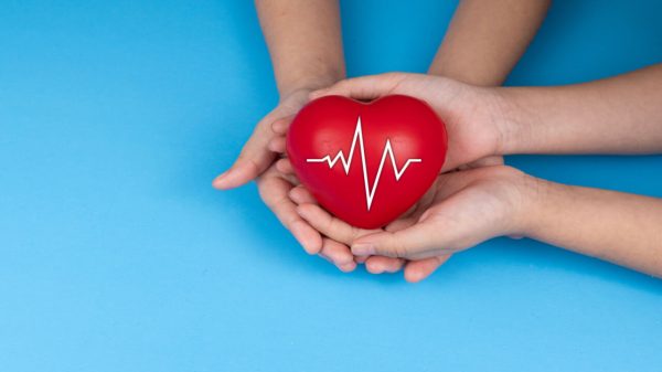 Varizes, trombose e aneurisma: veja como prevenir as doenças vasculares