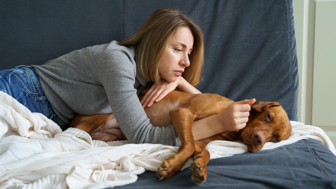Mulher deitada no sofá abraçando um cachorro marrom que parece assustado ou desconfortável, oferecendo conforto e carinho ao pet.