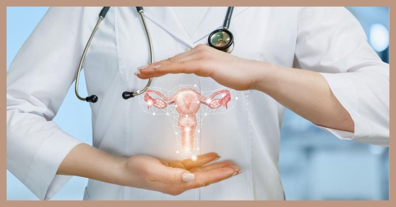 Médica ginecologista mostrando ilustração digital do sistema reprodutivo feminino, destacando a importância do cuidado com a saúde da mulher.
