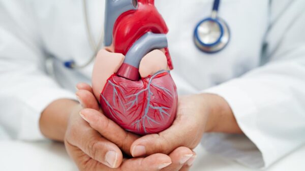 doenças cardiovasculares, que respondem por cerca de 30% das mortes no Brasil, de acordo com o Ministério da Saúde