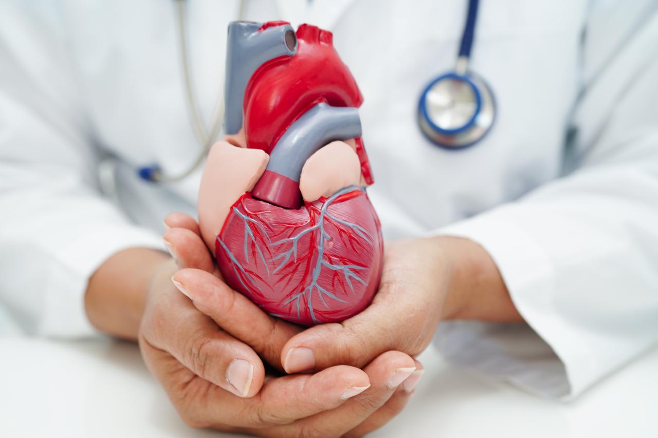doenças cardiovasculares, que respondem por cerca de 30% das mortes no Brasil, de acordo com o Ministério da Saúde