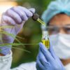 Estudos indicam que o canabidiol pode auxiliar no manejo de sintomas do TEA