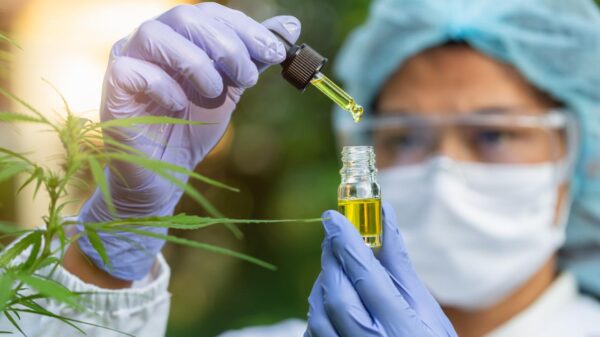 Estudos indicam que o canabidiol pode auxiliar no manejo de sintomas do TEA