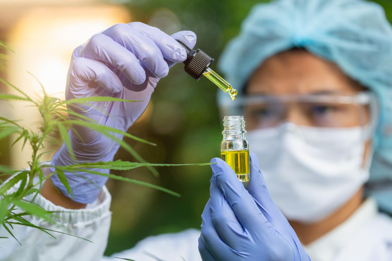 Estudos indicam que o canabidiol pode auxiliar no manejo de sintomas do TEA