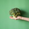 Pesquisa com mais de 160 mil mulheres mostra efeito protetor do vegetal