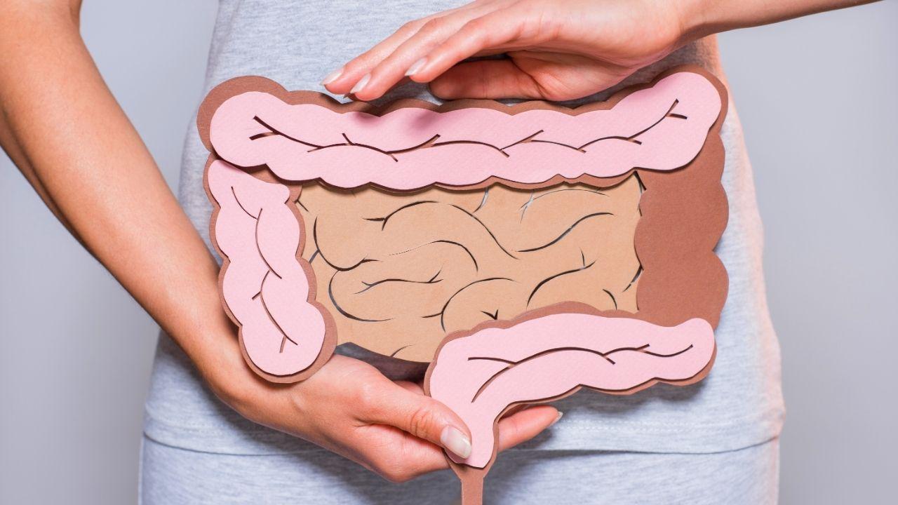 Alterações no intestino: o que pode indicar câncer colorretal