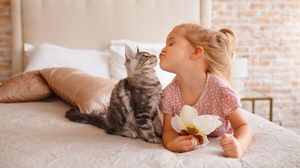 Pets e imunidade: por que crianças adoecem menos com animais
