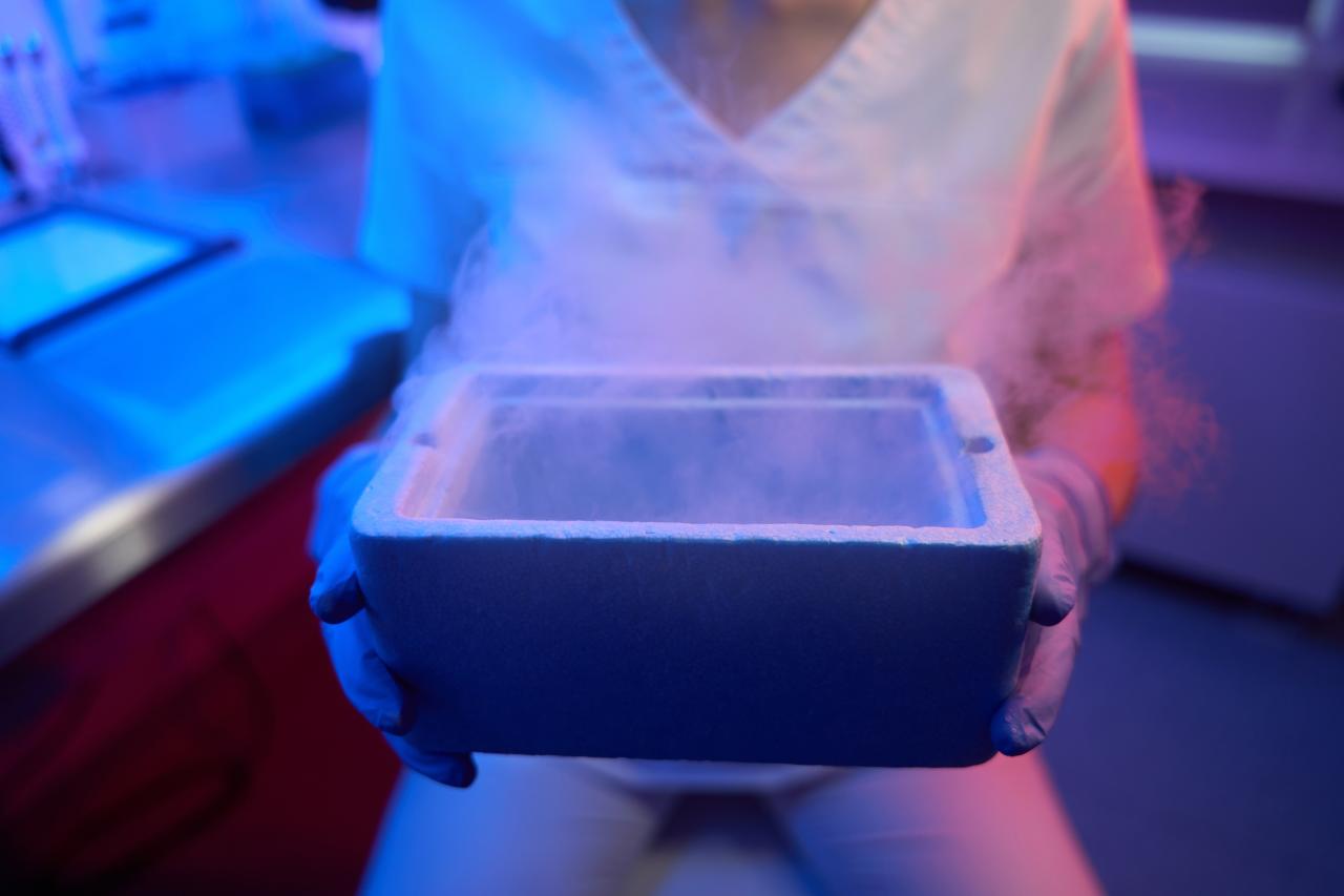 Congelamento de embriões cresce com avanço da fertilização in vitro