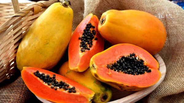 Imagem de uma cesta com mamão papaya
