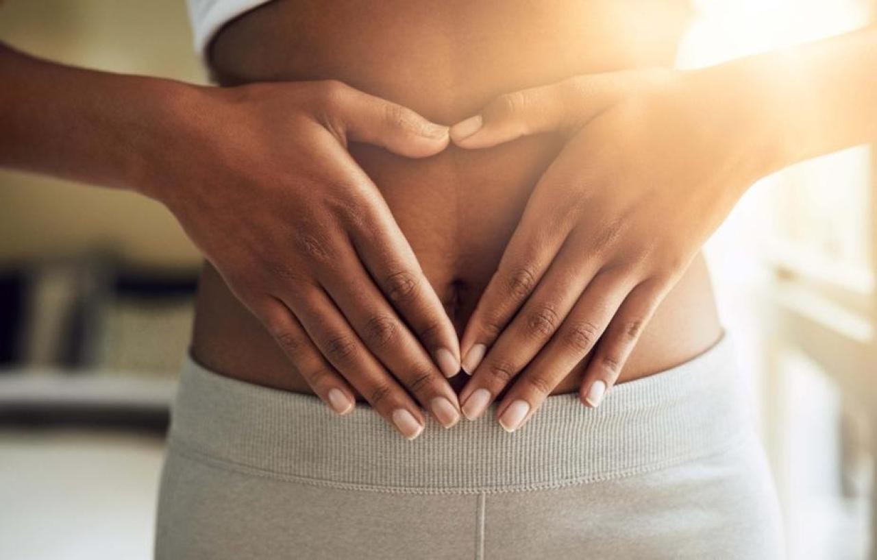A microbiota intestinal influencia humor, imunidade e qualidade do sono