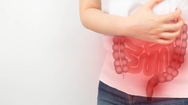 Alterações hormonais na menopausa podem afetar o intestino; entenda