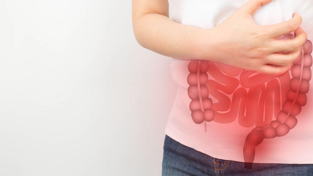 Alterações hormonais na menopausa podem afetar o intestino; entenda