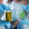 Endometriose e cannabis medicinal: as perspectivas para o controle da dor