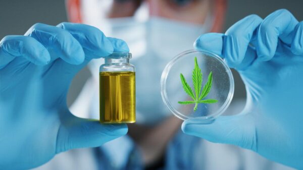 Endometriose e cannabis medicinal: as perspectivas para o controle da dor