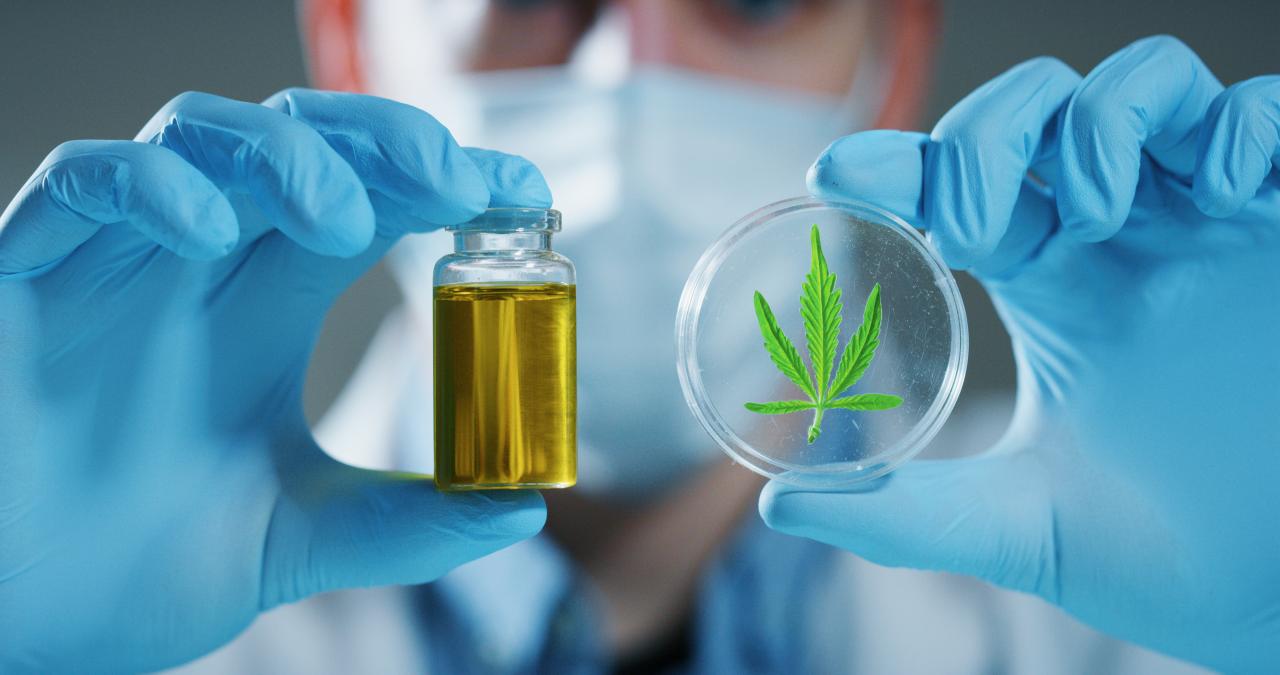 Endometriose e cannabis medicinal: as perspectivas para o controle da dor