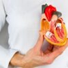 Menopausa e circulação: entenda como proteger sua saúde vascular