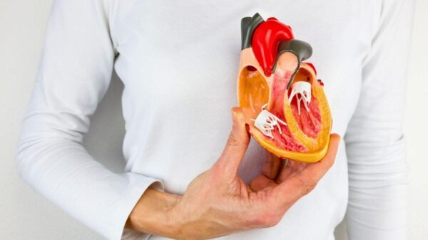 Menopausa e circulação: entenda como proteger sua saúde vascular