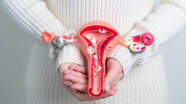 Imagem de uma mulher segurando uma peça de plástico de um útero