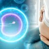 Foto mostra barriga de grávida com desenho da fertilização in vitro.