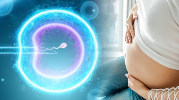 Foto mostra barriga de grávida com desenho da fertilização in vitro.
