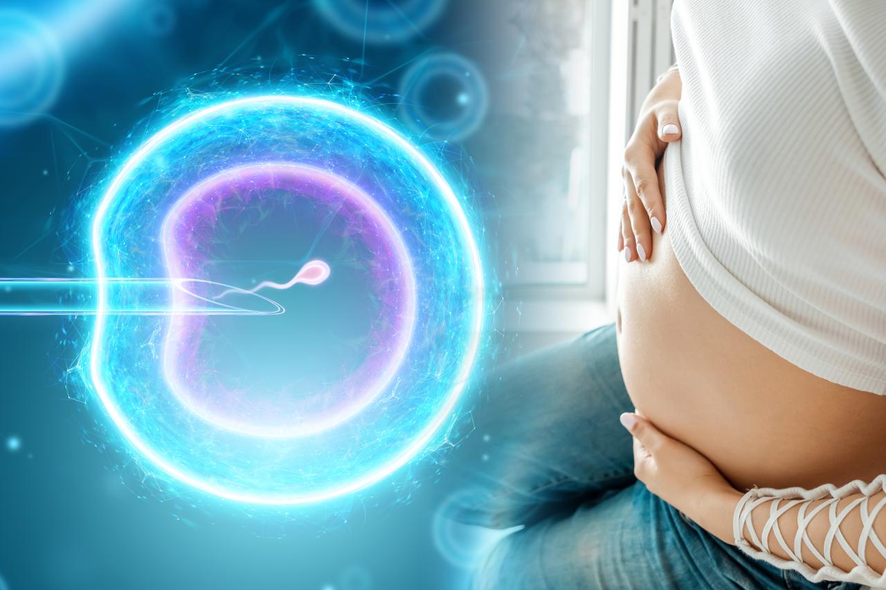 Foto mostra barriga de grávida com desenho da fertilização in vitro.