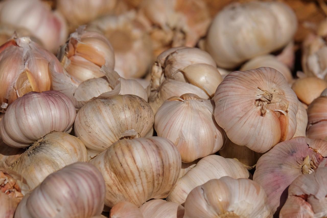 Anvisa divulgou quais alimentos apresentam maior e menor presença de resíduos de agrotóxicos no Brasil