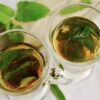 Chás naturais podem apoiar a saúde do fígado, mas a hidratação continua sendo fundamental