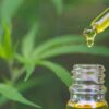 Estudo analisou mais de 3,5 mil pacientes em tratamento com cannabis medicinal.