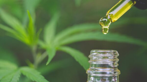 Estudo analisou mais de 3,5 mil pacientes em tratamento com cannabis medicinal.