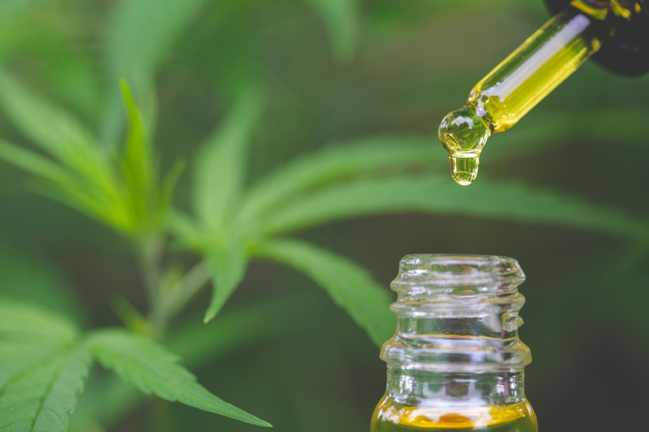 Estudo analisou mais de 3,5 mil pacientes em tratamento com cannabis medicinal.