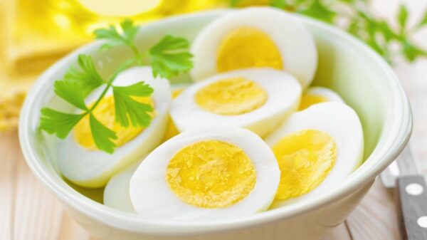 Comer ovos com frequência pode reduzir risco de Alzheimer; veja por quê