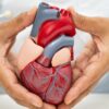 Coração de fim de semana: cardiologista explica o risco do 'tudo ou nada'