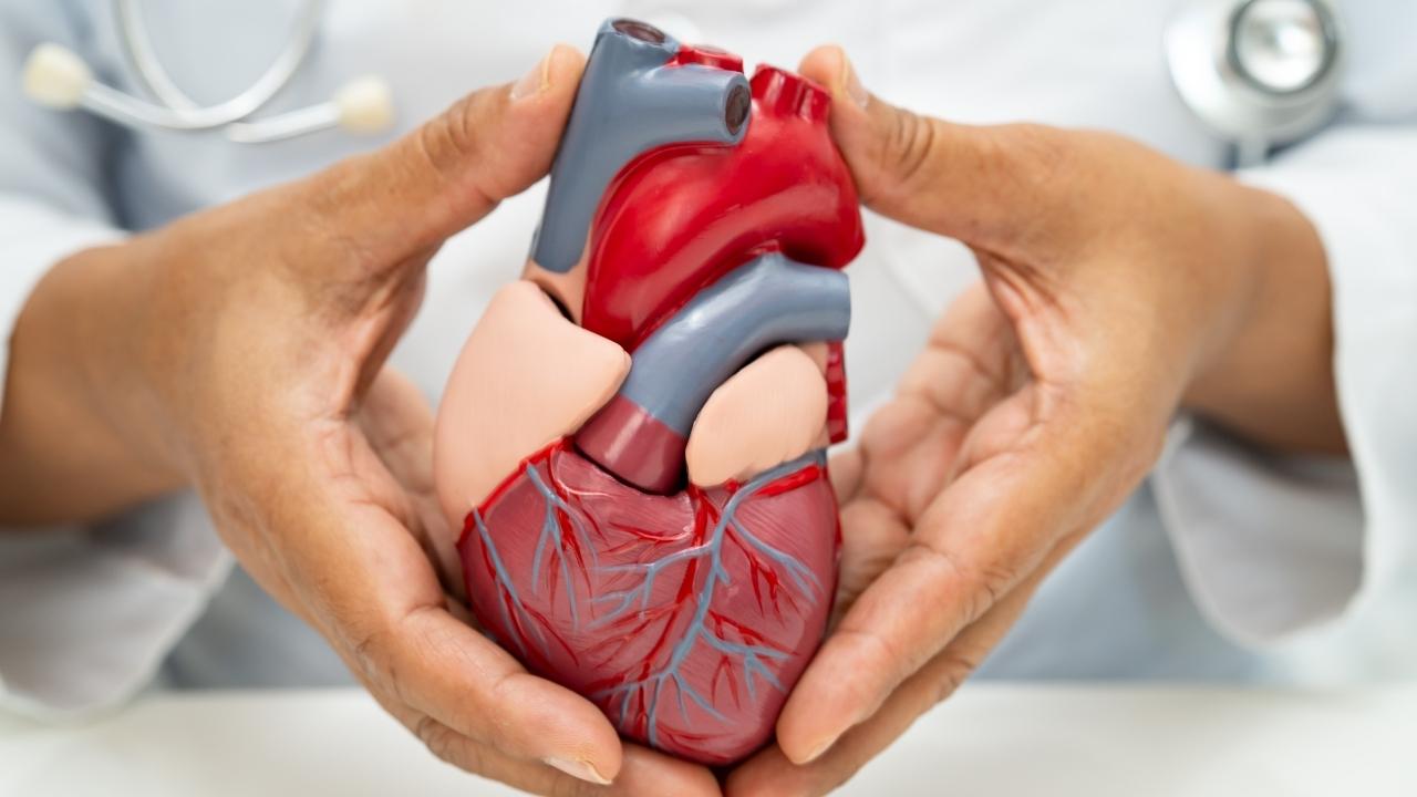 Coração de fim de semana: cardiologista explica o risco do 'tudo ou nada'