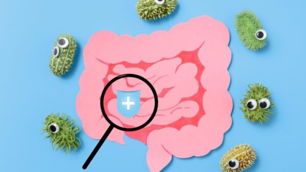 Disbiose: entenda os reais sinais de desequilíbrio no intestino