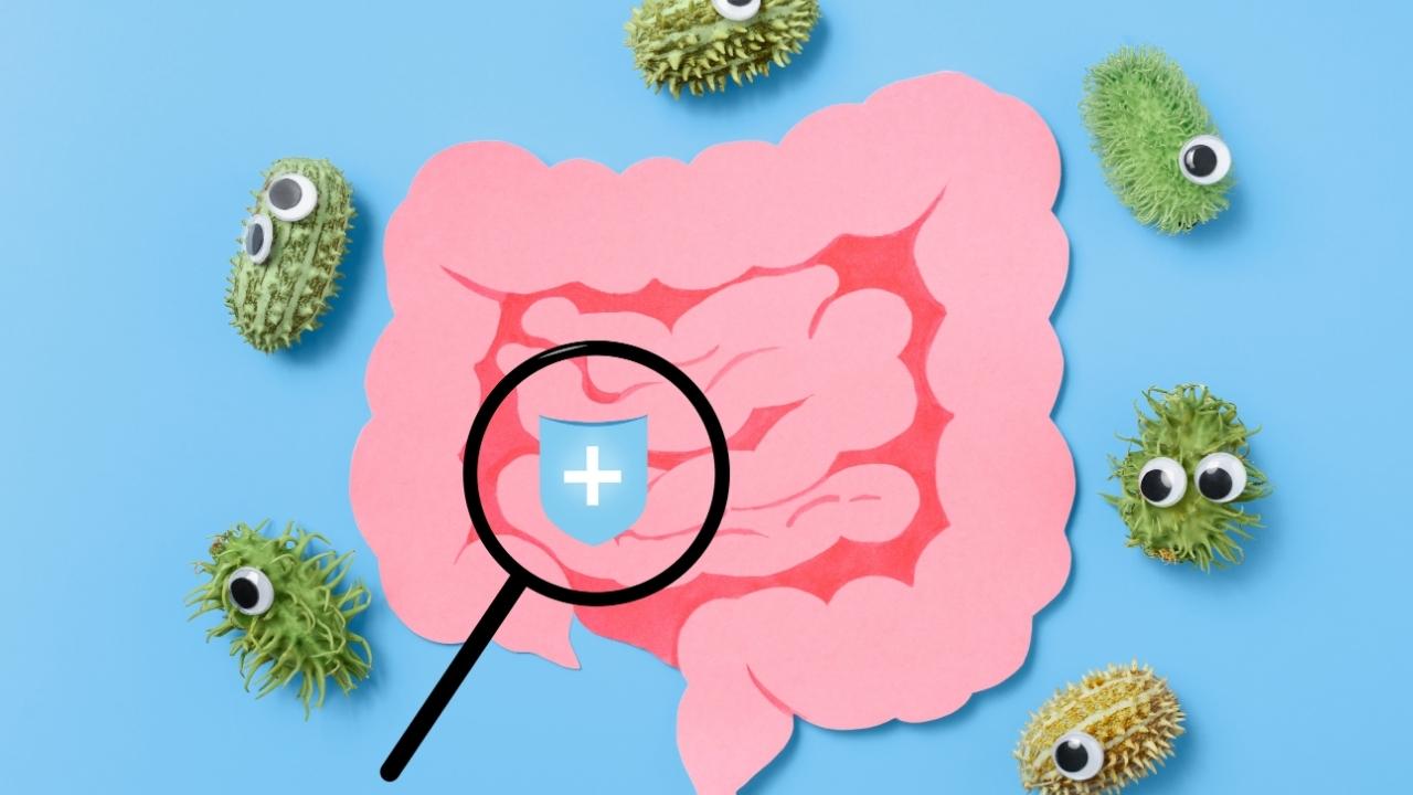 Disbiose: entenda os reais sinais de desequilíbrio no intestino