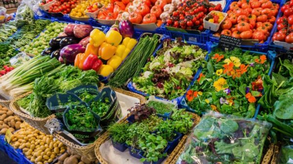 Superalimentos baratos: como comer bem e de forma saudável sem gastar muito