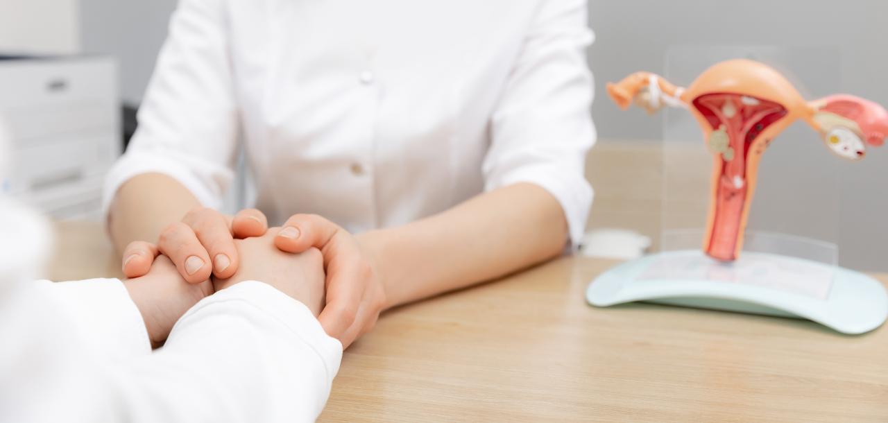 Foto mostra médica falando com paciente e mostrando uma representação de útero como exemplo.