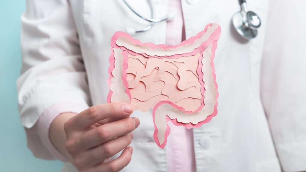 representação de um intestino