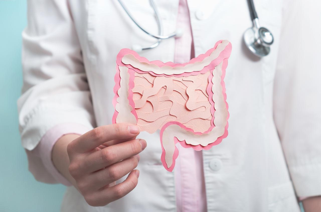 representação de um intestino